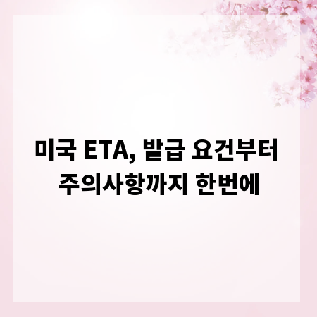 미국 ETA, 발급 요건부터 주의사항까지 한번에