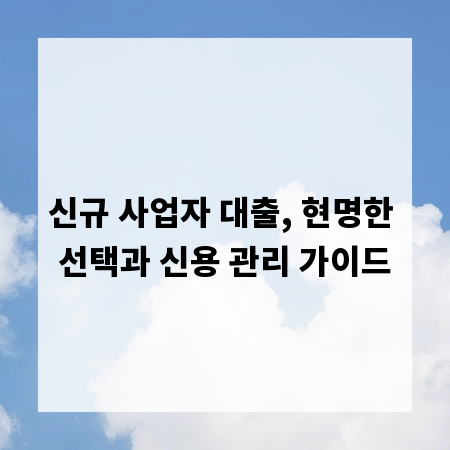 신규 사업자 대출, 현명한 선택과 신용 관리 가이드