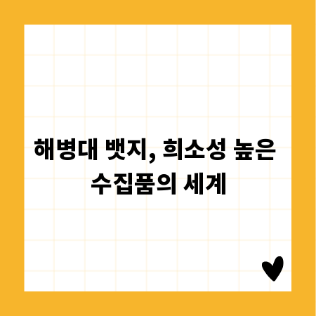 해병대 뱃지, 희소성 높은 수집품의 세계