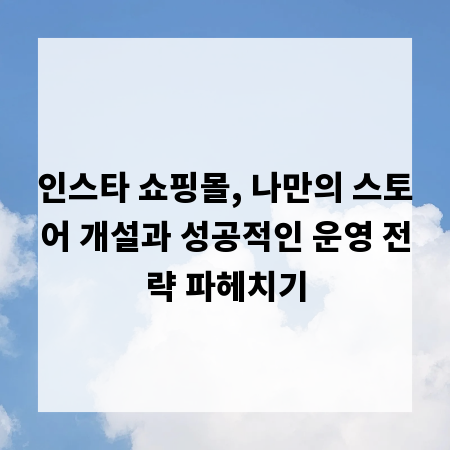 인스타 쇼핑몰, 나만의 스토어 개설과 성공적인 운영 전략 파헤치기