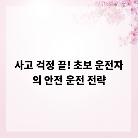 사고 걱정 끝! 초보 운전자의 안전 운전 전략