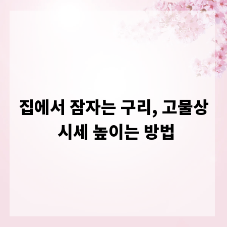 집에서 잠자는 구리, 고물상 시세 높이는 방법