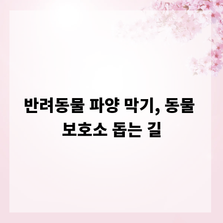 반려동물 파양 막기, 동물 보호소 돕는 길