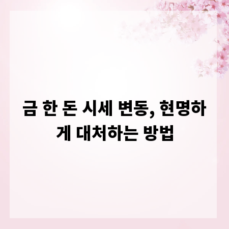 금 한 돈 시세 변동, 현명하게 대처하는 방법