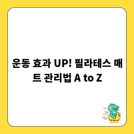 운동 효과 UP! 필라테스 매트 관리법 A to Z