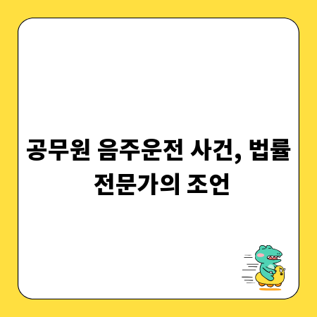 공무원 음주운전 사건, 법률 전문가의 조언