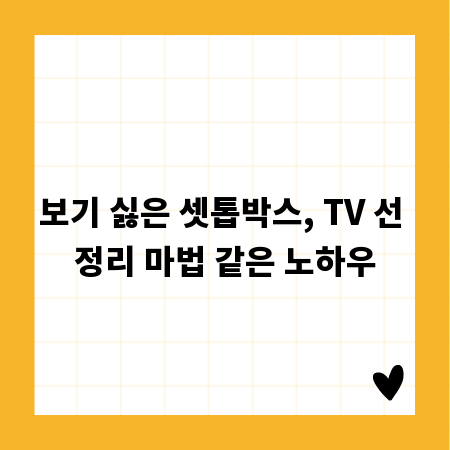 보기 싫은 셋톱박스, TV 선 정리 마법 같은 노하우
