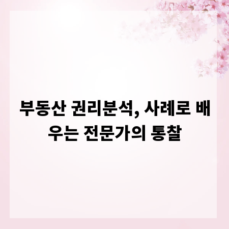 부동산 권리분석, 사례로 배우는 전문가의 통찰