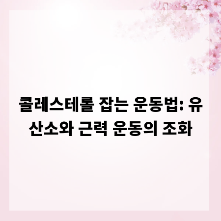 콜레스테롤 잡는 운동법: 유산소와 근력 운동의 조화