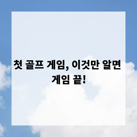 첫 골프 게임, 이것만 알면 게임 끝!