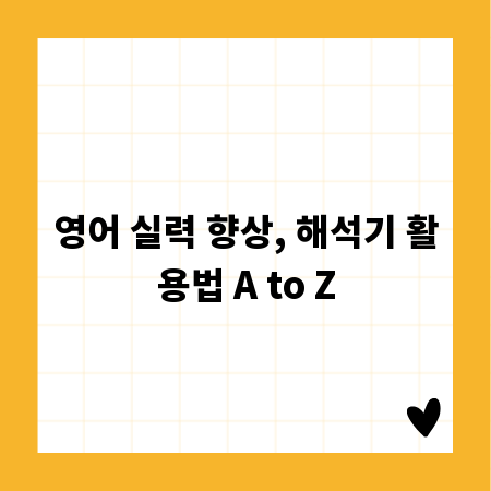 영어 실력 향상, 해석기 활용법 A to Z