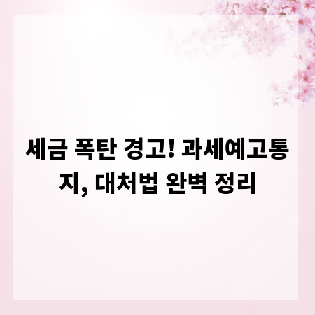 세금 폭탄 경고! 과세예고통지, 대처법 완벽 정리