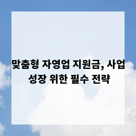 맞춤형 자영업 지원금, 사업 성장 위한 필수 전략
