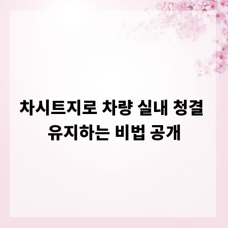 차시트지로 차량 실내 청결 유지하는 비법 공개