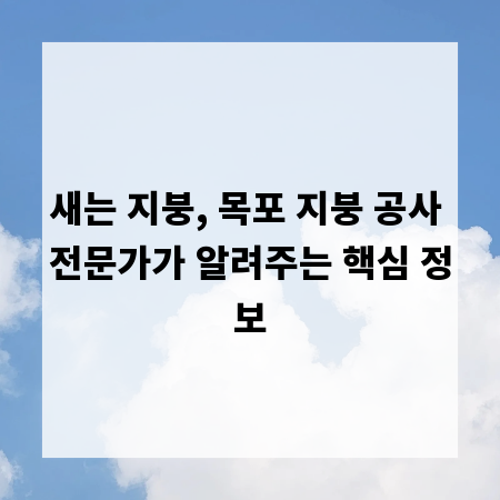 새는 지붕, 목포 지붕 공사 전문가가 알려주는 핵심 정보