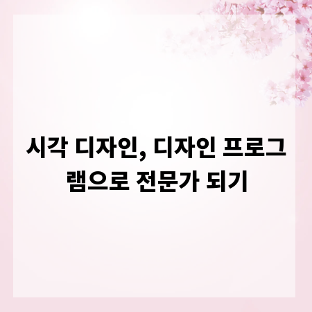 시각 디자인, 디자인 프로그램으로 전문가 되기