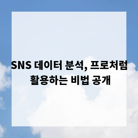 SNS 데이터 분석, 프로처럼 활용하는 비법 공개