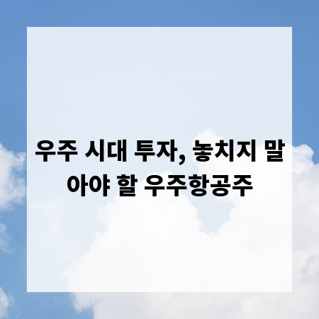 우주 시대 투자, 놓치지 말아야 할 우주항공주
