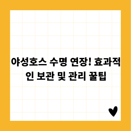 야성호스 수명 연장! 효과적인 보관 및 관리 꿀팁