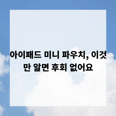아이패드 미니 파우치, 이것만 알면 후회 없어요