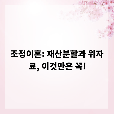 조정이혼: 재산분할과 위자료, 이것만은 꼭!