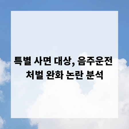 특별 사면 대상, 음주운전 처벌 완화 논란 분석