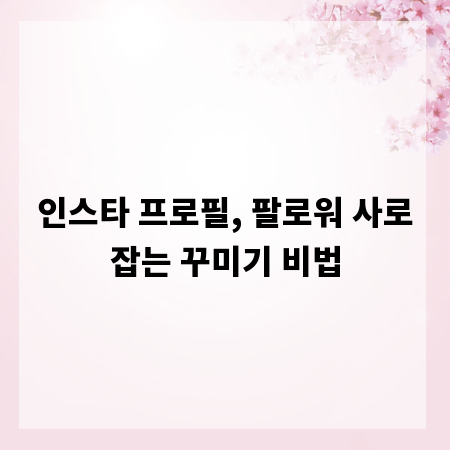 인스타 프로필, 팔로워 사로잡는 꾸미기 비법