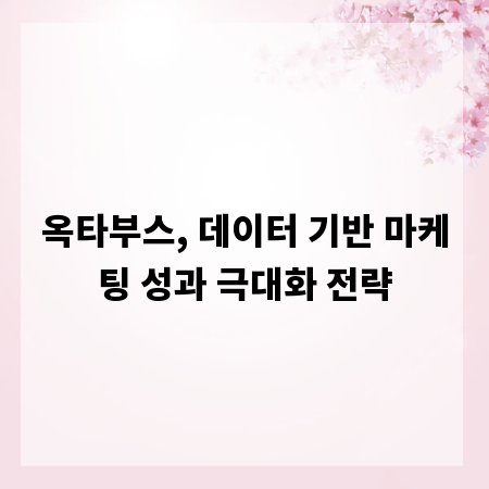 옥타부스, 데이터 기반 마케팅 성과 극대화 전략