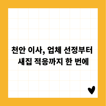 천안 이사, 업체 선정부터 새집 적응까지 한 번에
