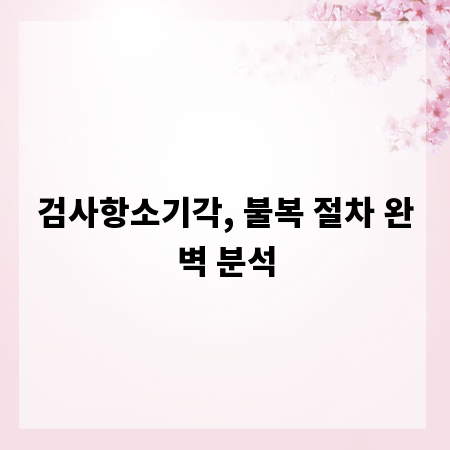 검사항소기각, 불복 절차 완벽 분석