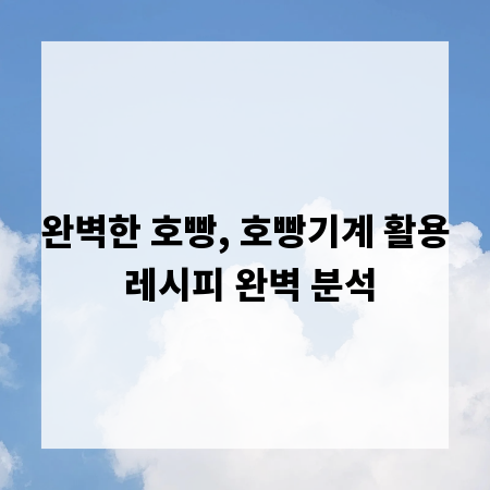 완벽한 호빵, 호빵기계 활용 레시피 완벽 분석