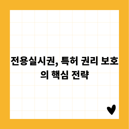 전용실시권, 특허 권리 보호의 핵심 전략