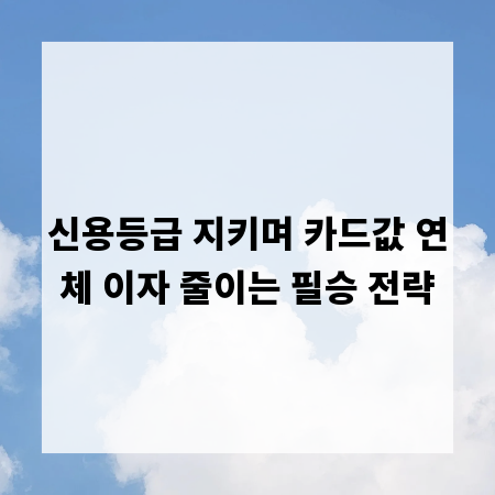 신용등급 지키며 카드값 연체 이자 줄이는 필승 전략