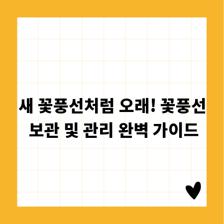 새 꽃풍선처럼 오래! 꽃풍선 보관 및 관리 완벽 가이드