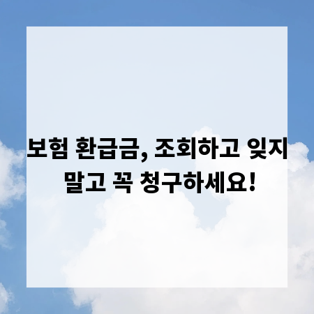 보험 환급금, 조회하고 잊지 말고 꼭 청구하세요!