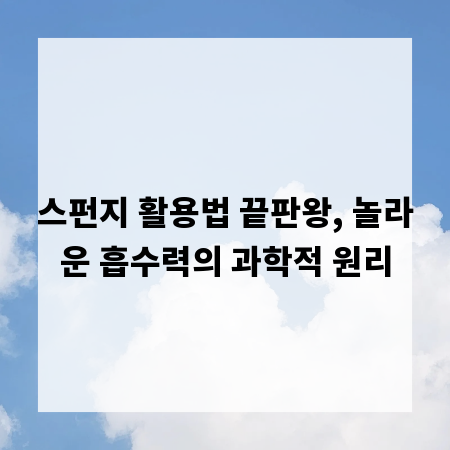 스펀지 활용법 끝판왕, 놀라운 흡수력의 과학적 원리