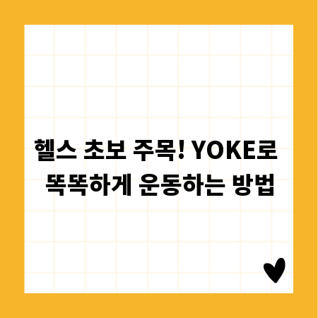 헬스 초보 주목! YOKE로 똑똑하게 운동하는 방법