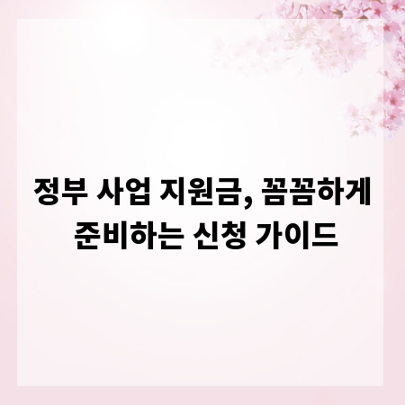 정부 사업 지원금, 꼼꼼하게 준비하는 신청 가이드