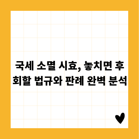 국세 소멸 시효, 놓치면 후회할 법규와 판례 완벽 분석