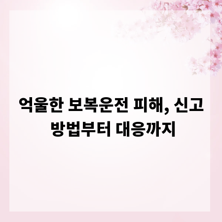 억울한 보복운전 피해, 신고 방법부터 대응까지
