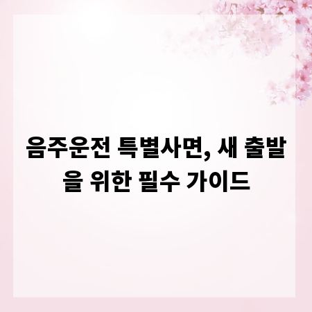 음주운전 특별사면, 새 출발을 위한 필수 가이드