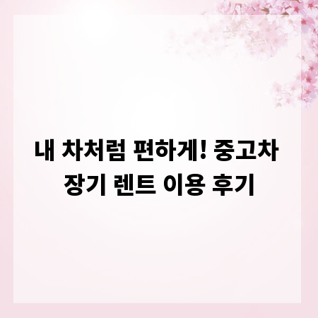 내 차처럼 편하게! 중고차 장기 렌트 이용 후기