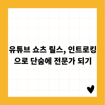 유튜브 쇼츠 릴스, 인트로킹으로 단숨에 전문가 되기