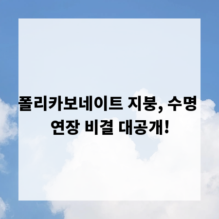 폴리카보네이트 지붕, 수명 연장 비결 대공개!