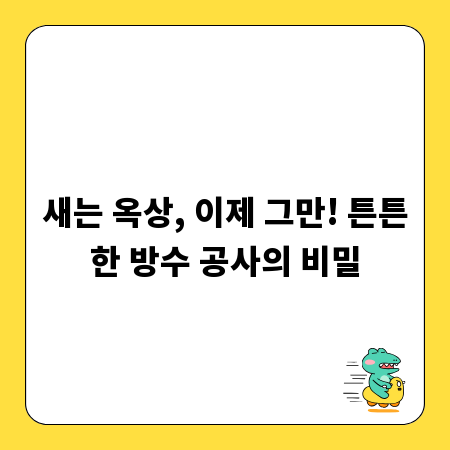 새는 옥상, 이제 그만! 튼튼한 방수 공사의 비밀