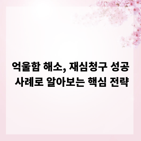억울함 해소, 재심청구 성공 사례로 알아보는 핵심 전략