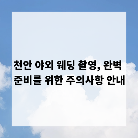 천안 야외 웨딩 촬영, 완벽 준비를 위한 주의사항 안내