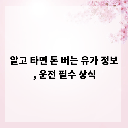 알고 타면 돈 버는 유가 정보, 운전 필수 상식