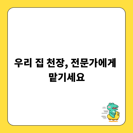 우리 집 천장, 전문가에게 맡기세요