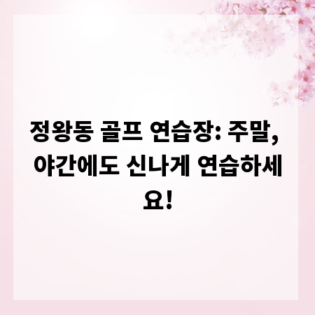 정왕동 골프 연습장: 주말, 야간에도 신나게 연습하세요!